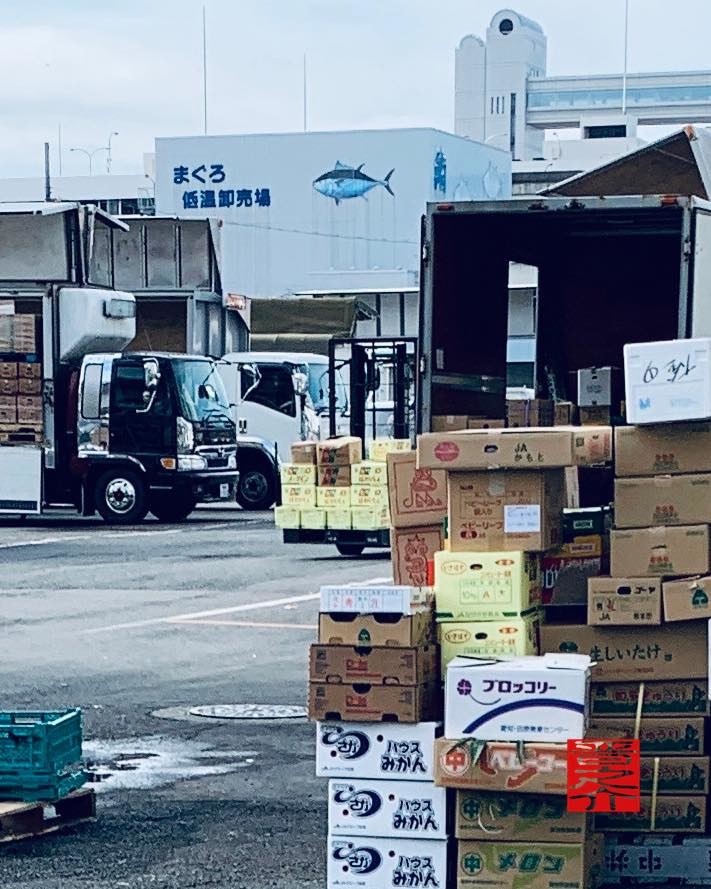 名古屋中央卸売市場2