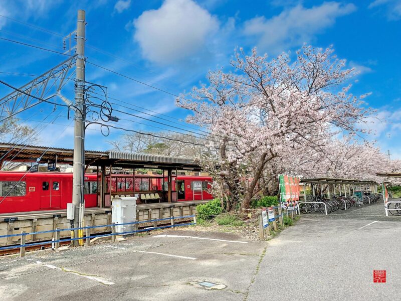 西浦駅桜と600系
